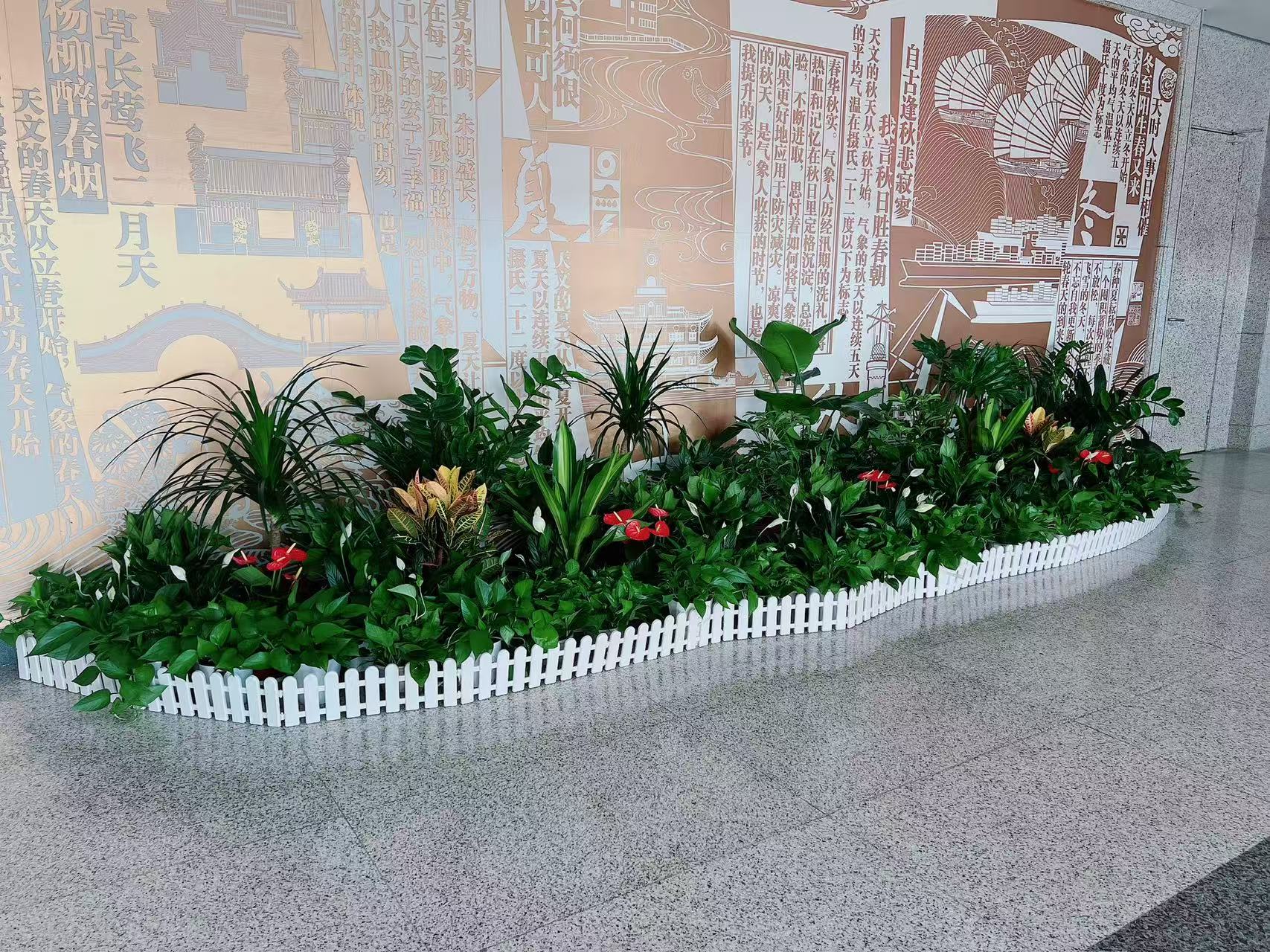 奉化植物租赁价格